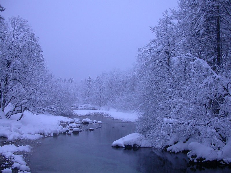 Winter in Bohinj, Slovenia - 25.jpg